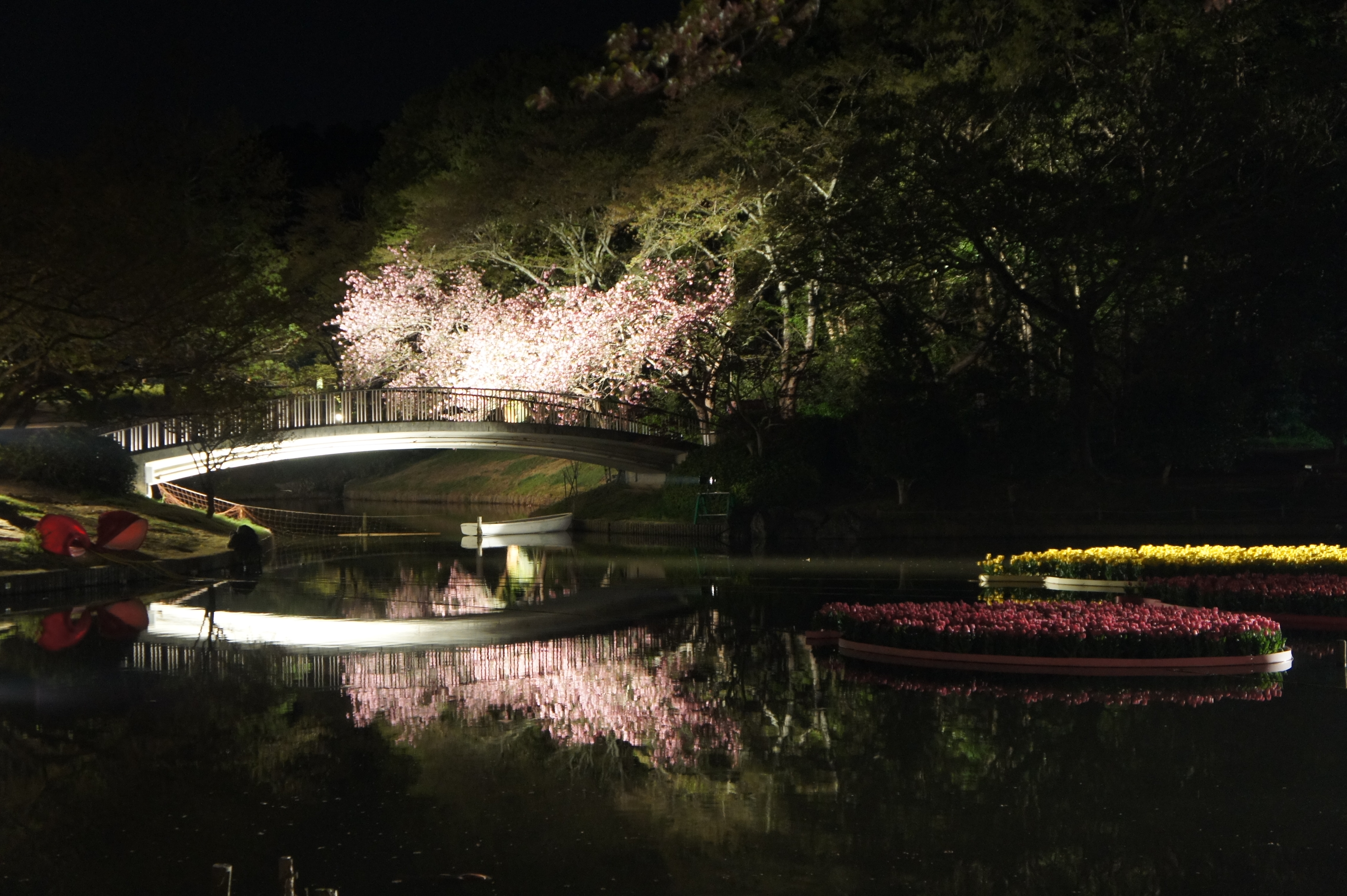 20130410morita太鼓橋.JPG
