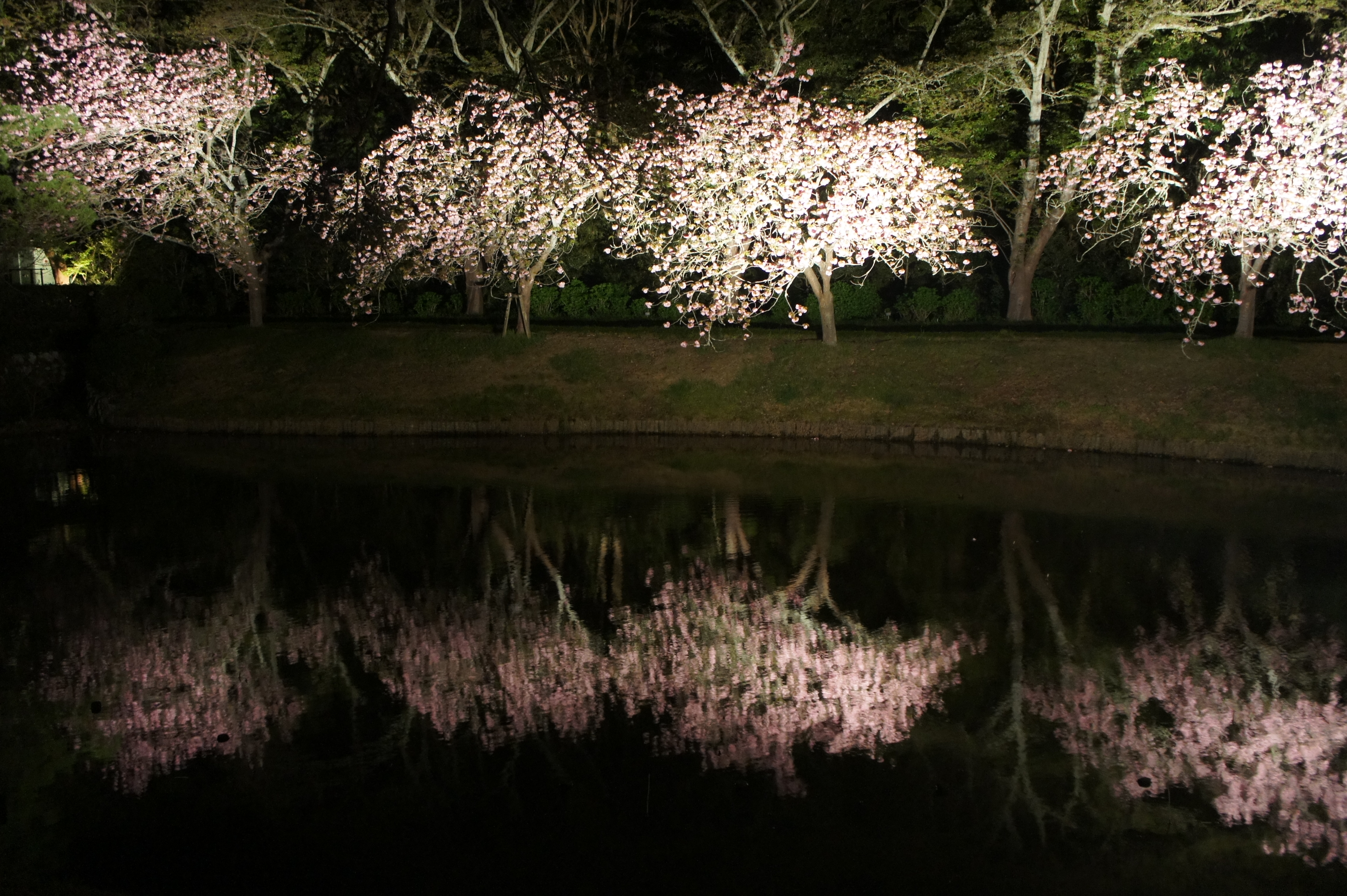 20130410morita水鏡.JPG