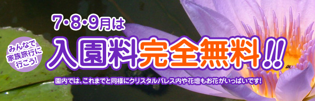 7・8・9月は入園料完全無料