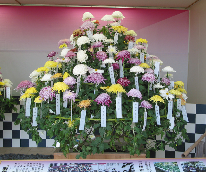 https://e-flowerpark.com/old_2103/news/2013/09/26/img/hyakushu-tsugiwake.JPG