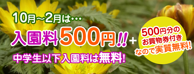 10月〜2月は入園料500円！+お買いもの券付き！