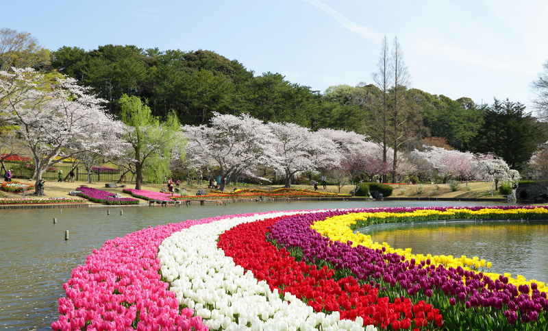 https://e-flowerpark.com/old_2103/news/2015/01/10/img/002015.JPG