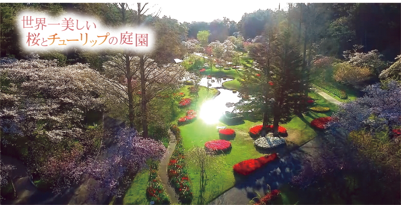 https://e-flowerpark.com/old_2103/news/2020/01/01/img/20200101.jpg
