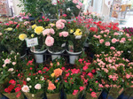 201905171.jpg