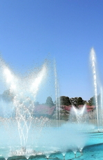 IMG_20200501_093751_s.jpg