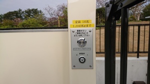 suro-puka- (1).JPG