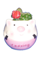 buta.png