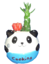 アニマルサボテン