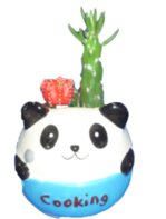 panda.png