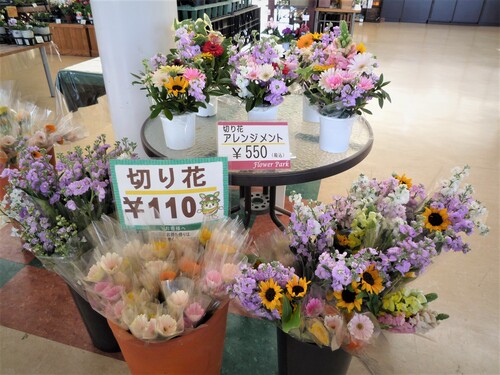 切り花5.jpg