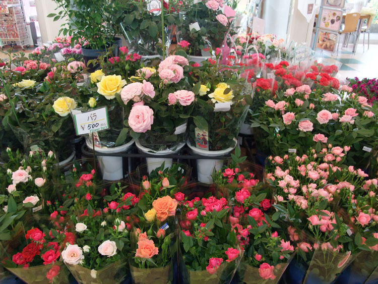 https://e-flowerpark.com/old_2103/news/img/201905171.jpg