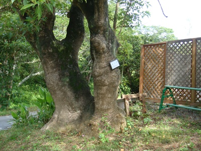 DSC01545.JPG